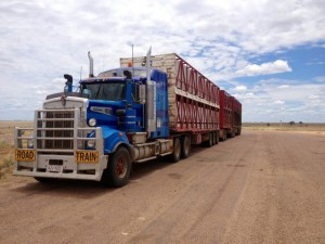 Sloans Livestock and Transport